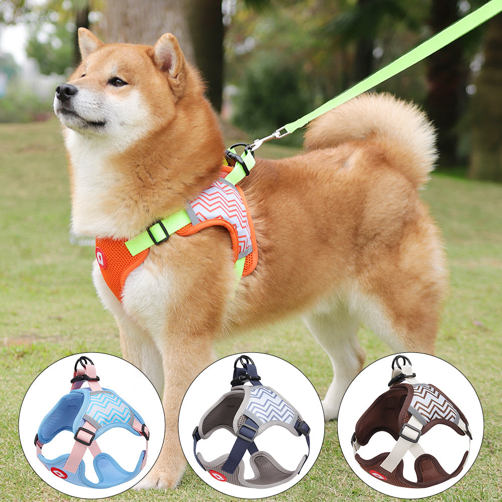 No-Pull Dog Harness & Leash Set