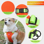 No-Pull Dog Harness & Leash Set