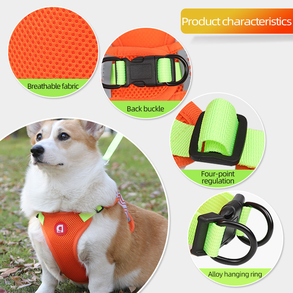 No-Pull Dog Harness & Leash Set