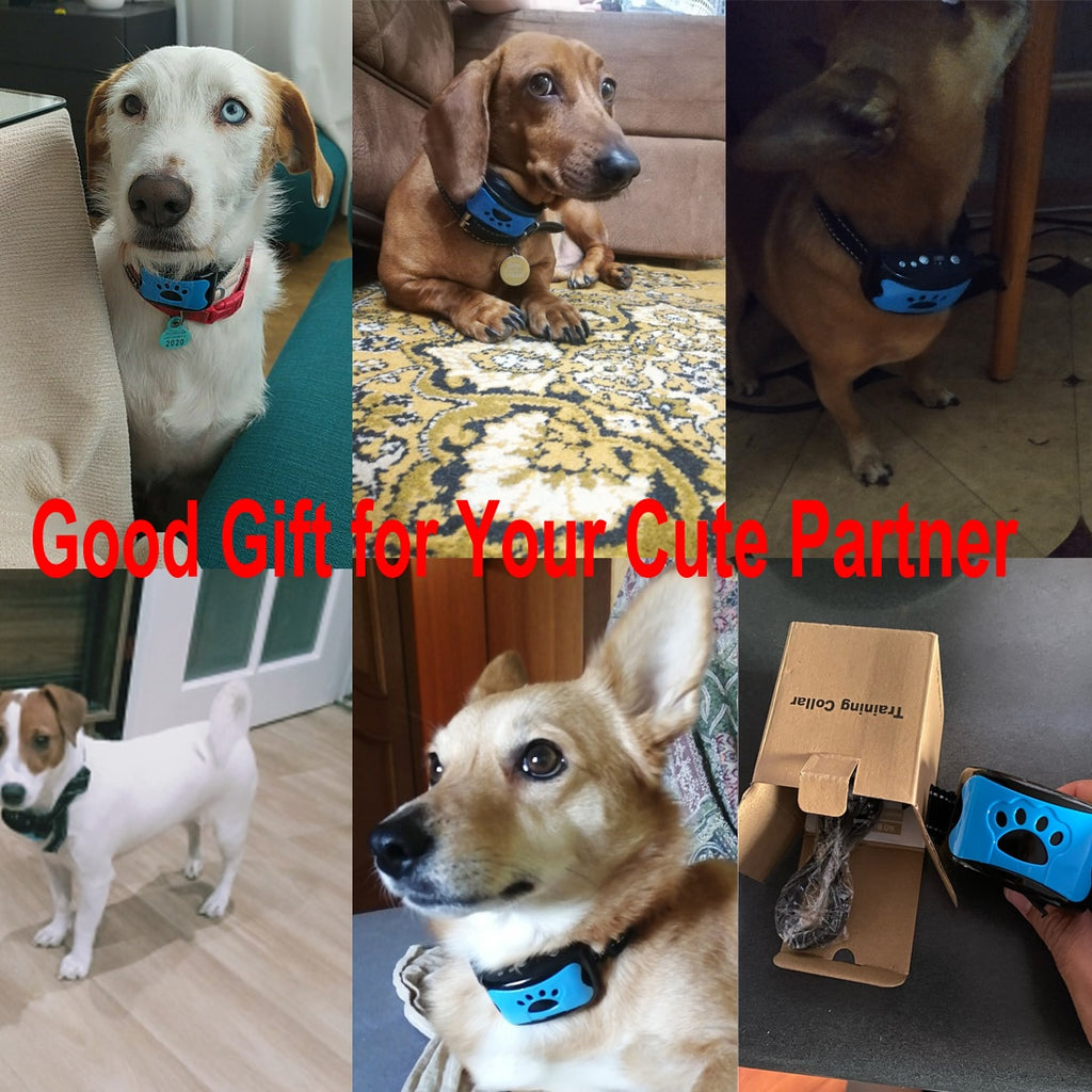 Smart Automatic Dog Bark Collar