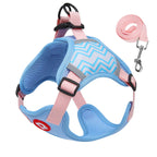 No-Pull Dog Harness & Leash Set