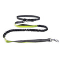 Hands-Free Dog Walking Belt