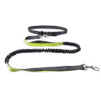 Hands-Free Dog Walking Belt