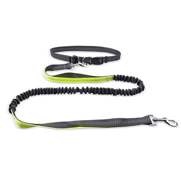 Hands-Free Dog Walking Belt