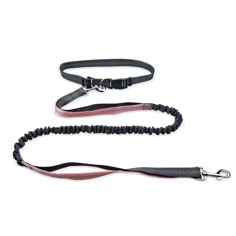 Hands-Free Dog Walking Belt