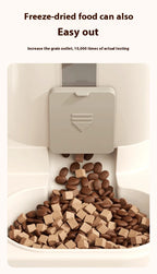 2-in-1 Automatic Pet Feeder & Water Dispenser