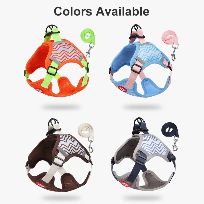No-Pull Dog Harness & Leash Set