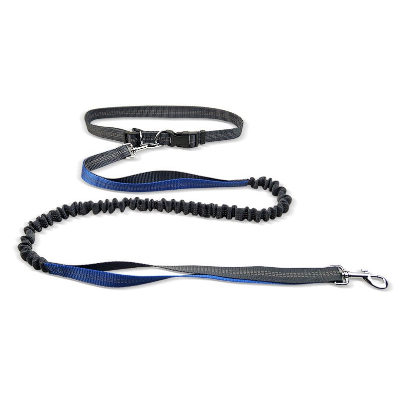 Hands-Free Dog Walking Belt