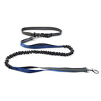 Hands-Free Dog Walking Belt
