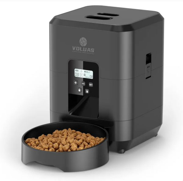 Automatic pet feeder by DK Bijou