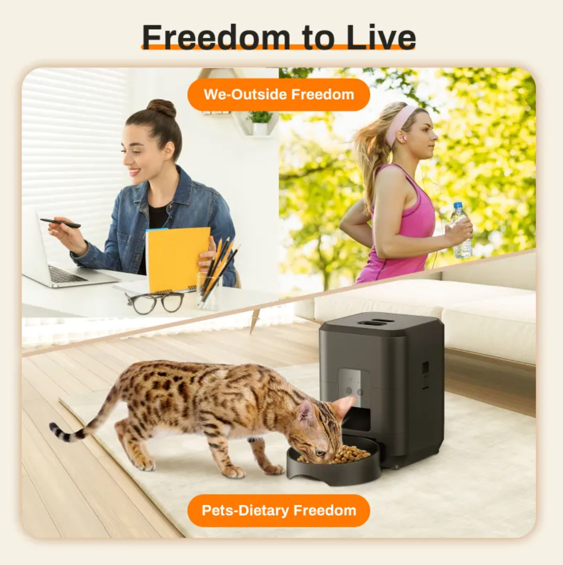Automatic pet feeder dimensions and measurements