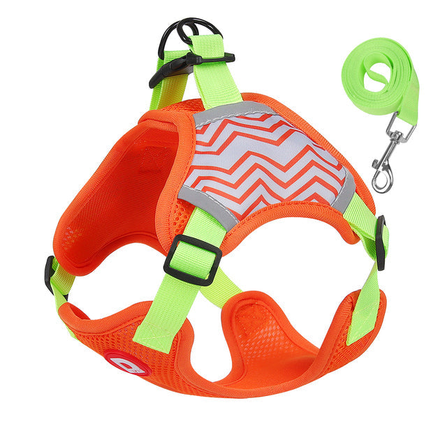 No-Pull Dog Harness & Leash Set