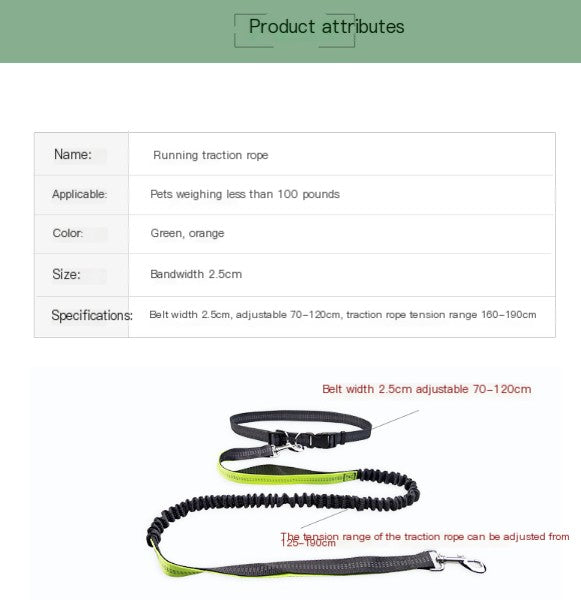 Hands-Free Dog Walking Belt