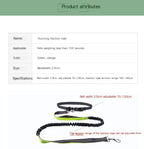 Hands-Free Dog Walking Belt