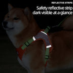 No-Pull Dog Harness & Leash Set
