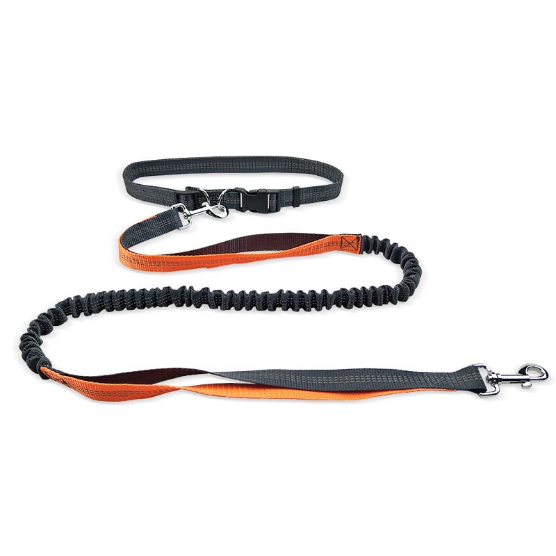 Hands-Free Dog Walking Belt